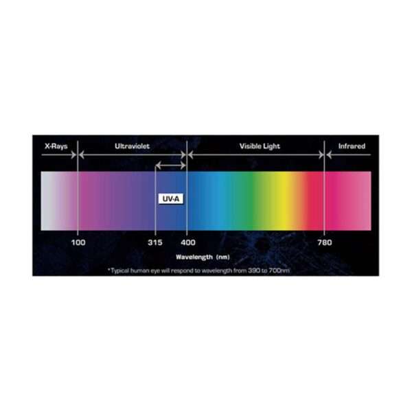 Antari DarkFX Strip 1020 40Â° Beam UV Fixture - Image 3